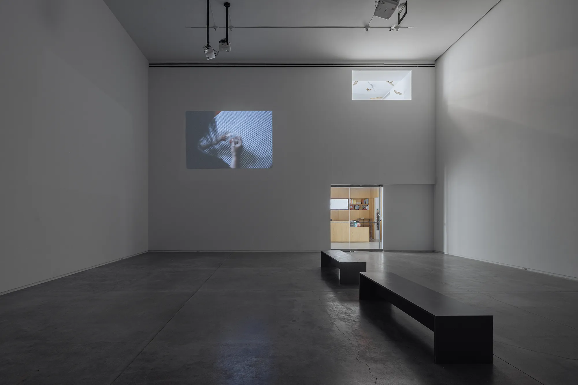 Cuidado, Adan Vallecillo, x Arriage Cuellar, Blaffer Art Museum