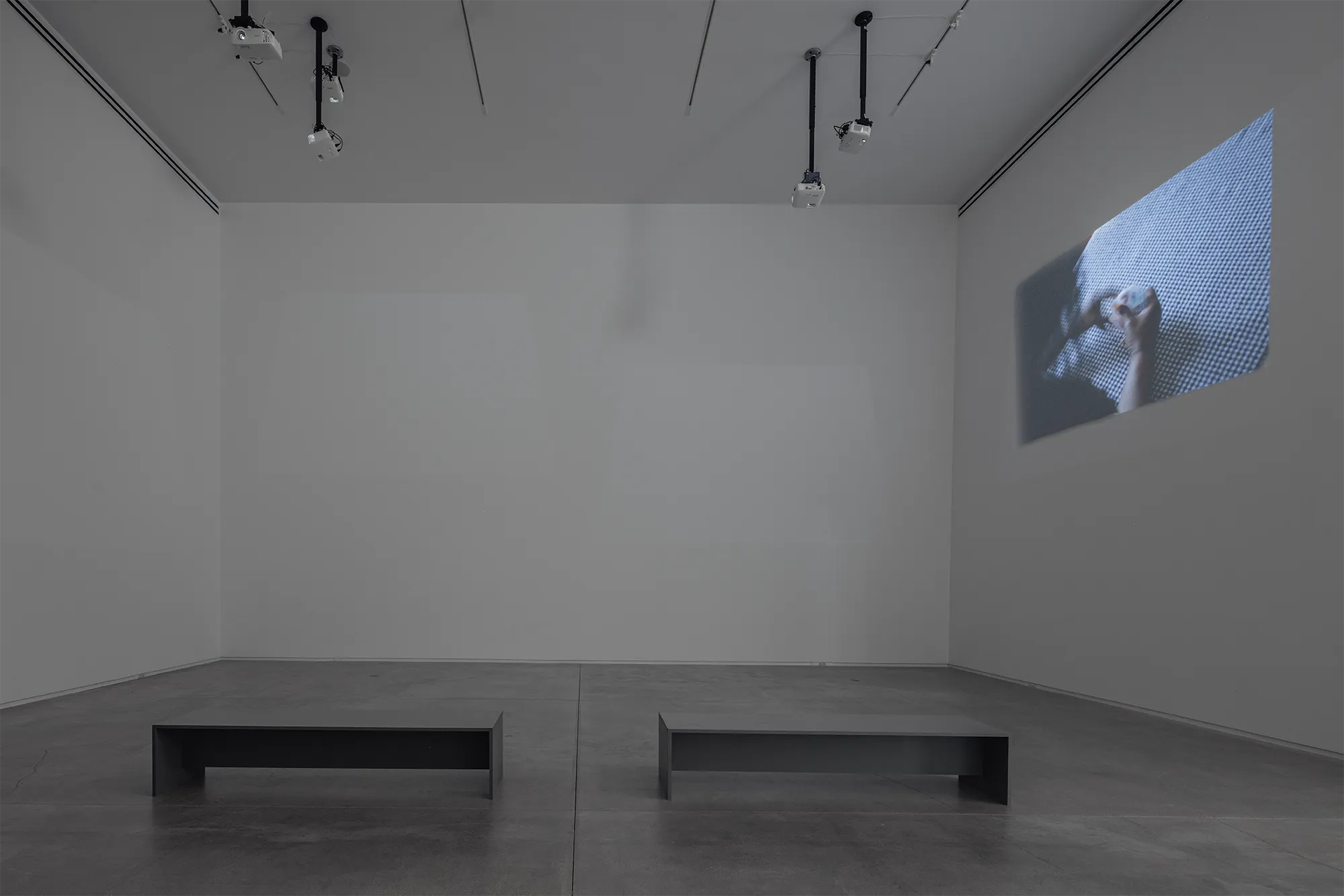 Cuidado, Adan Vallecillo, x Arriage Cuellar, Blaffer Art Museum