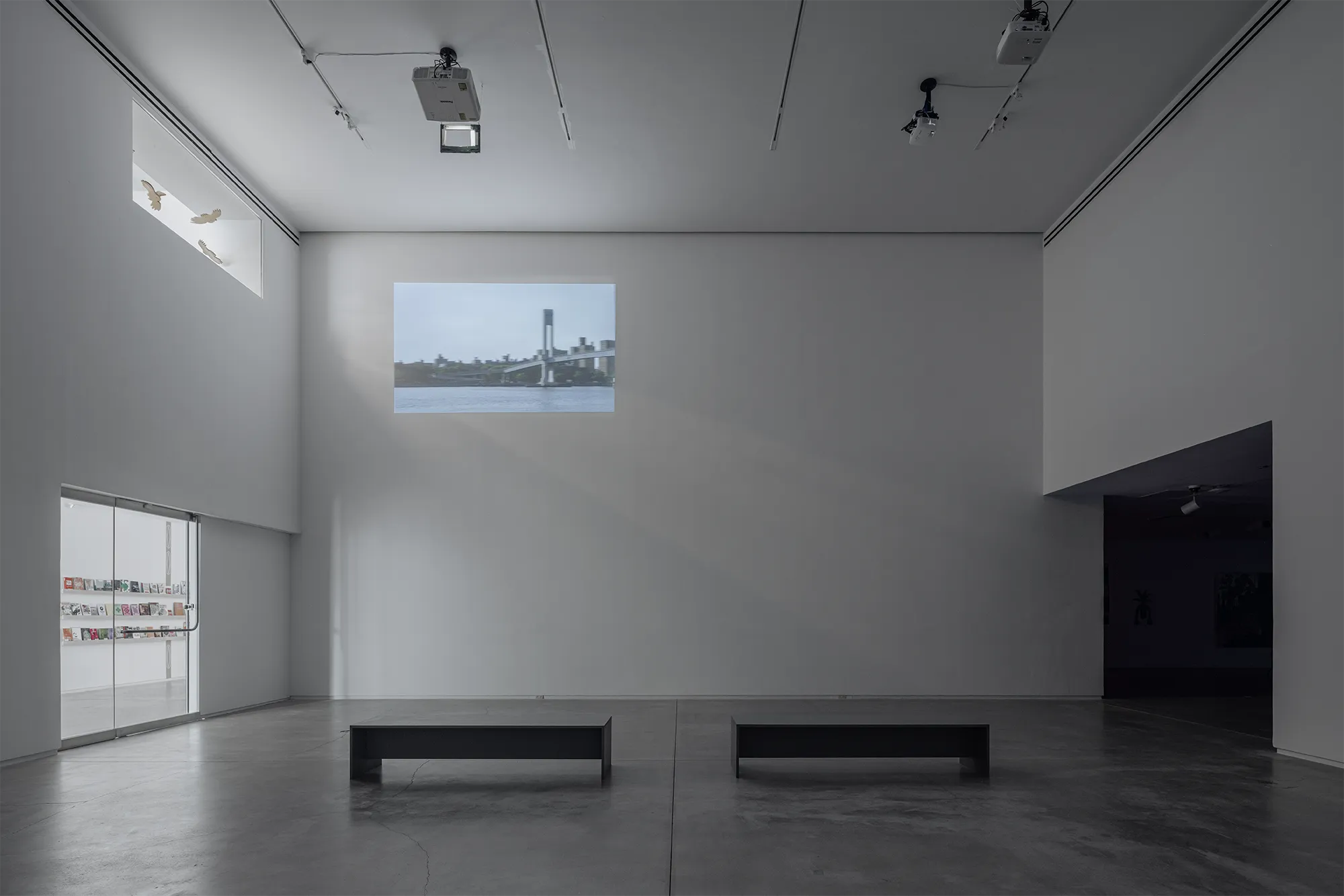 Cuidado, Adan Vallecillo, x Arriage Cuellar, Blaffer Art Museum