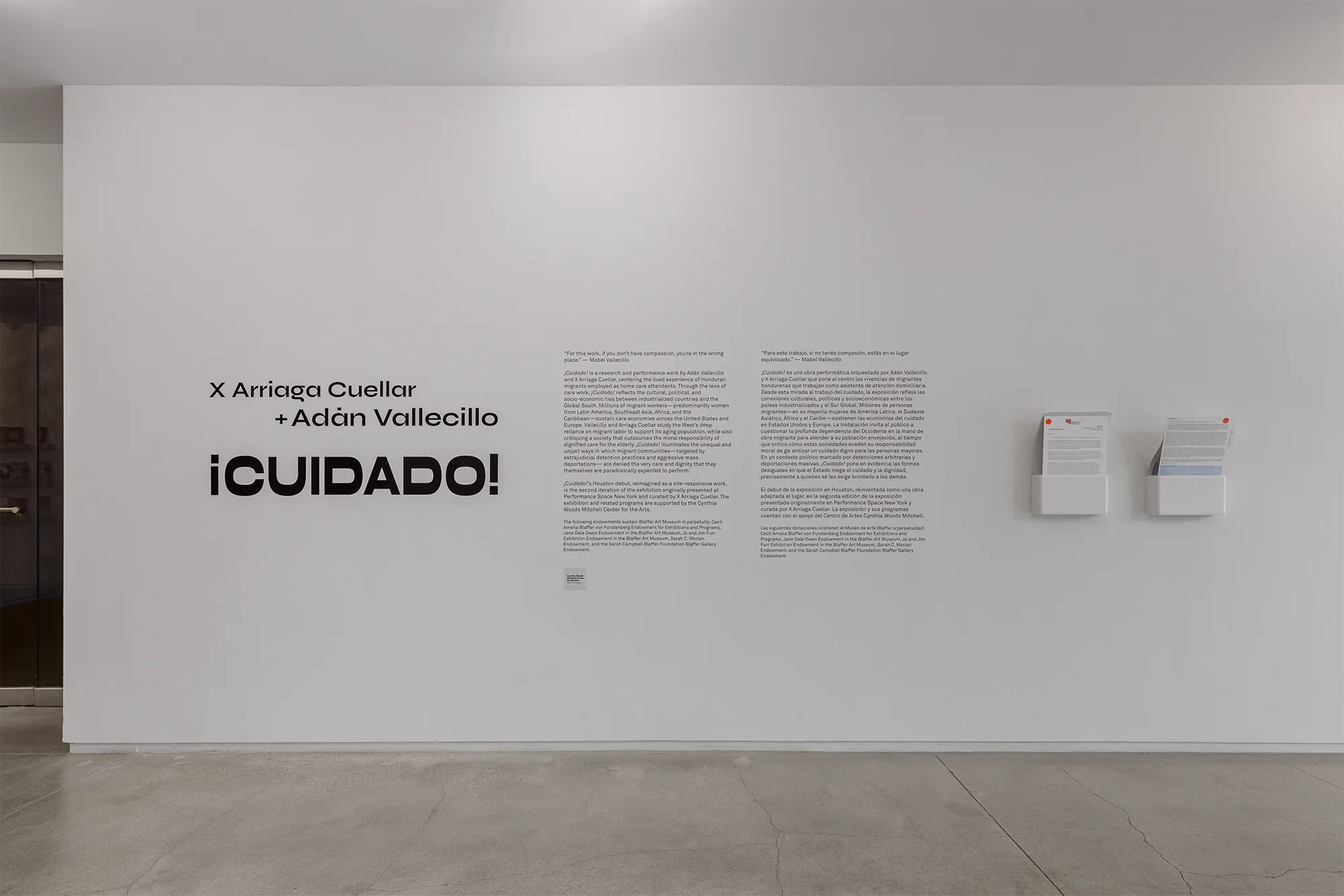 Cuidado, Adan Vallecillo, x Arriage Cuellar, Blaffer Art Museum