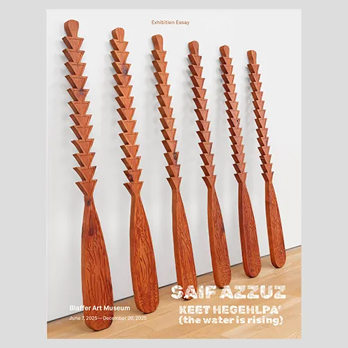 Laura Phipps, building barriers for seeing, Saif Azzuz, Blaffer Art Museum