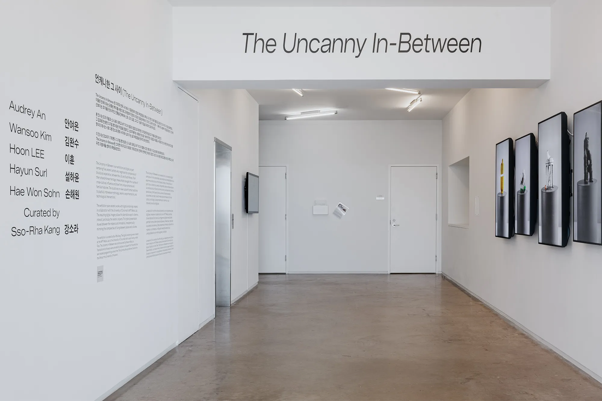 The Uncanny In-Between, curated by Sso-Rha Kang, Blaffer Art Museum