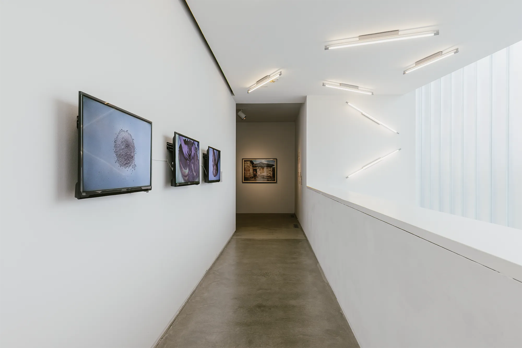 Mud+Corn+Stone+Blue, Blaffer Art Museum, ICI, on view through March 14 2026, Photo by Francisco Ramos