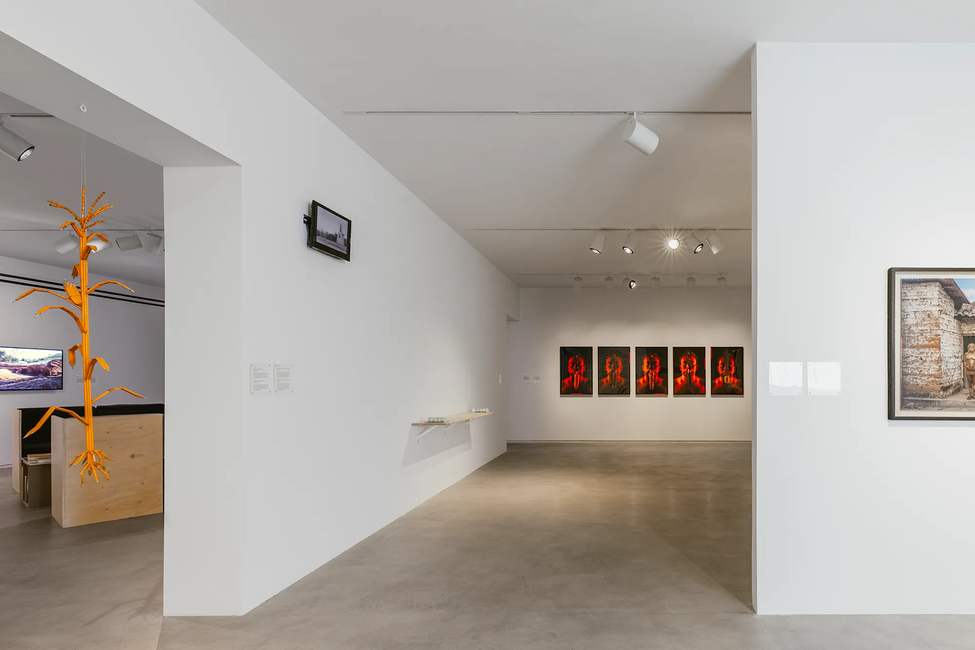 Mud+Corn+Stone+Blue, Blaffer Art Museum, ICI, on view through March 14 2026, Photo by Francisco Ramos