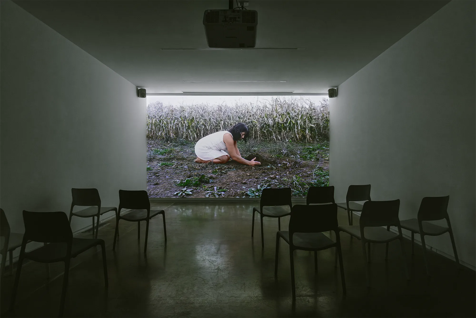 Mud+Corn+Stone+Blue, Blaffer Art Museum, ICI, on view through March 14 2026, Photo by Francisco Ramos