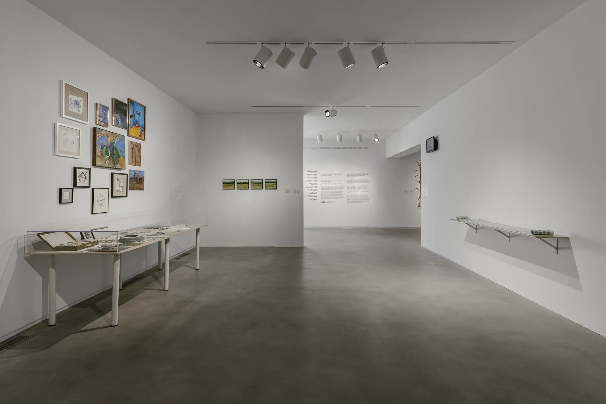 Mud+Corn+Stone+Blue, Blaffer Art Museum, ICI, on view through March 14 2026, Photo by Francisco Ramos