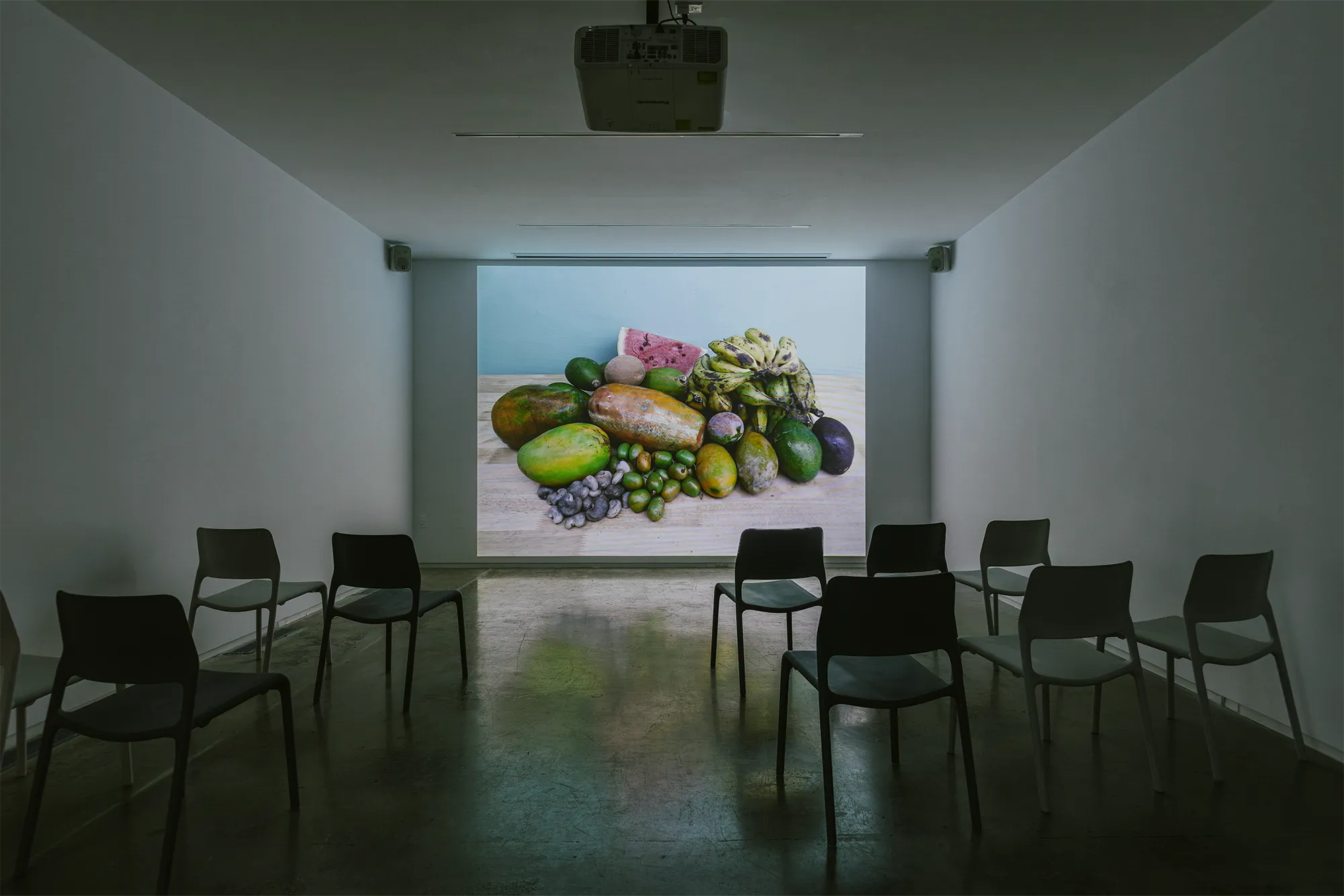 Mud+Corn+Stone+Blue, Blaffer Art Museum, ICI, on view through March 14 2026, Photo by Francisco Ramos