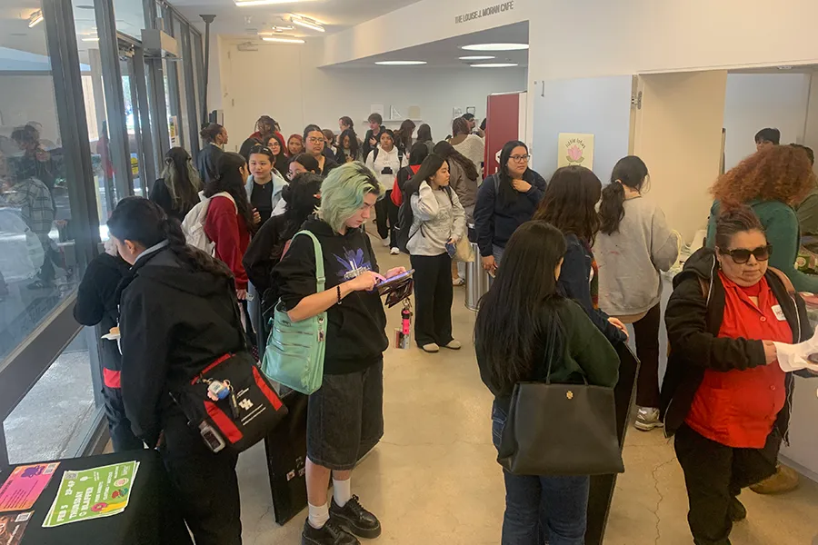 Blaffer Art Museum Public Programs