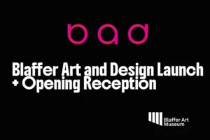 Blaffer Art & Design