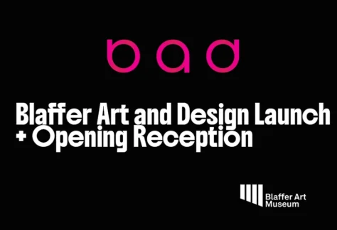 Blaffer Art & Design
