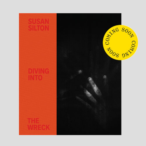Diving Into the Wreck,Susan Silton, Inventory Press, Blaffer Art Museum