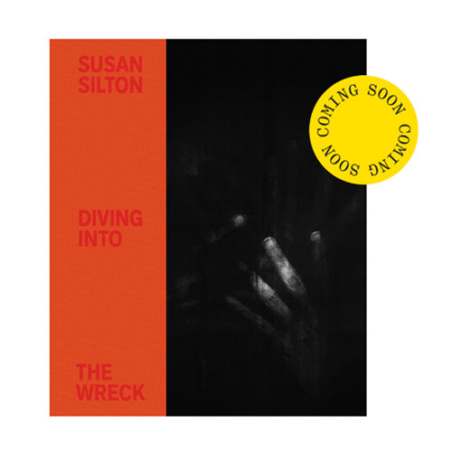 Diving Into the Wreck,Susan Silton, Inventory Press, Blaffer Art Museum