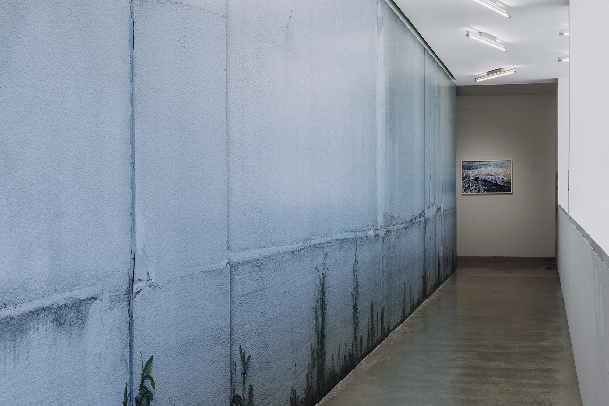 Mud+Corn+Stone+Blue, Blaffer Art Museum, ICI, on view through March 14 2026, Photo by Francisco Ramos