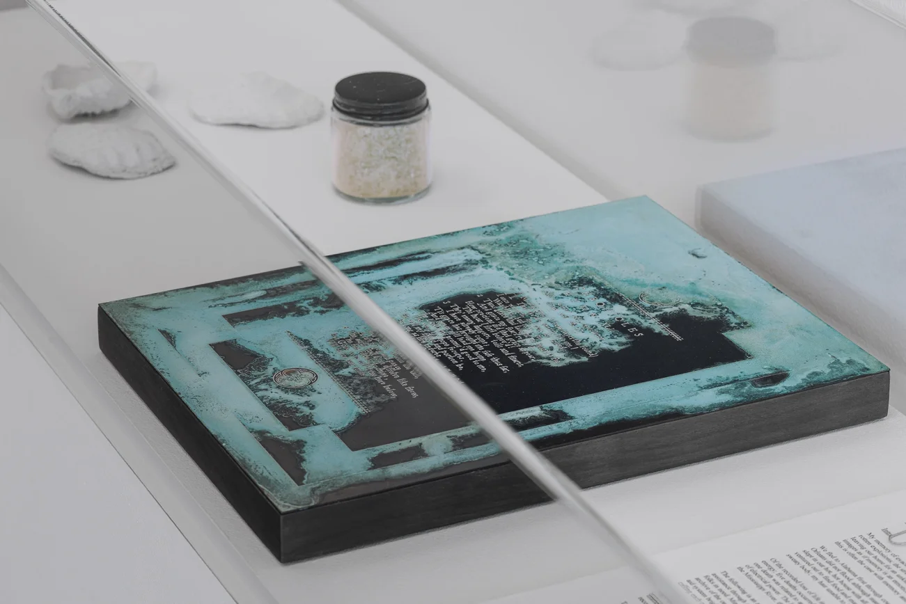 Mud+Corn+Stone+Blue, Blaffer Art Museum, ICI, on view through March 14 2026, Photo by Francisco Ramos