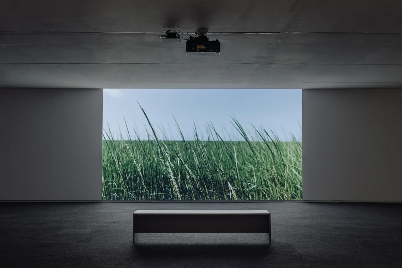 Mud+Corn+Stone+Blue, Blaffer Art Museum, ICI, on view through March 14 2026, Photo by Francisco Ramos