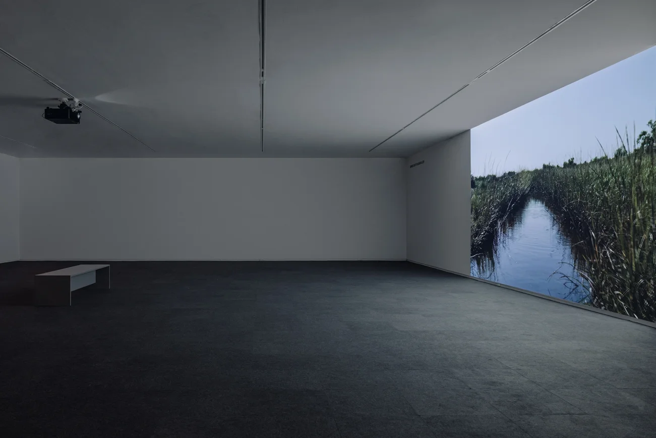 Mud+Corn+Stone+Blue, Blaffer Art Museum, ICI, on view through March 14 2026, Photo by Francisco Ramos